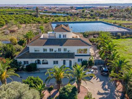 Finca en venta en Los Montesinos zona Los Montesinos