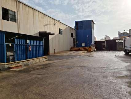 Nave industrial en venta en Torrevieja