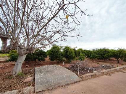 Parcela rústica en venta en Villarreal/Vila-real