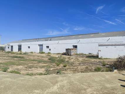 Nave industrial en alquiler en Albal