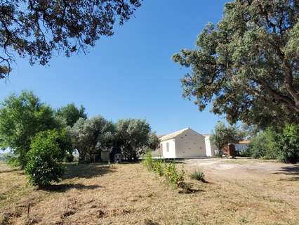 Casa rústica en venta en Arcos de la Frontera