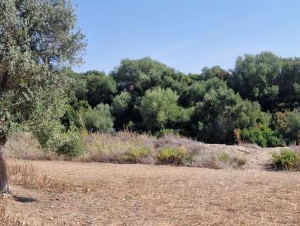 Parcela rústica en venta en Arcos de la Frontera