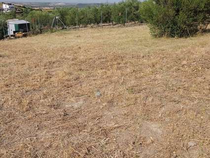 Parcela rústica en venta en Arcos de la Frontera