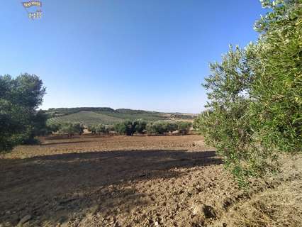 Casa rústica en venta en Arcos de la Frontera