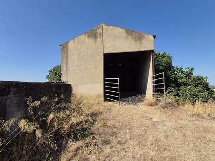 Nave industrial en alquiler en Arcos de la Frontera