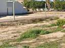 Parcela rústica en venta en Archena