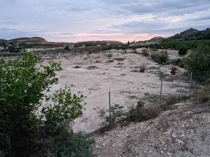 Parcela rústica en venta en Archena