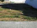 Parcela rústica en venta en Archena