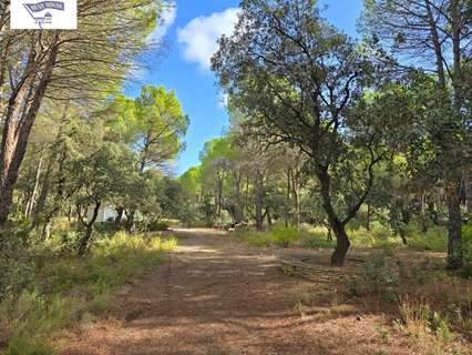 Parcela rústica en venta en Albacete