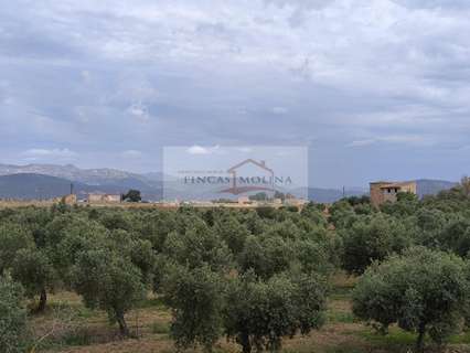 Parcela rústica en venta en Sa Pobla