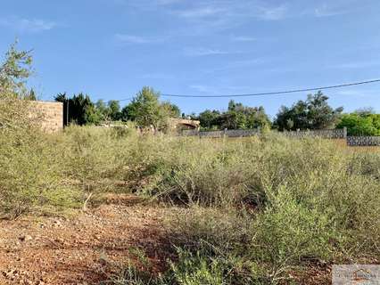 Parcela rústica en venta en Palma de Mallorca