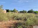 Parcela rústica en venta en Palma de Mallorca