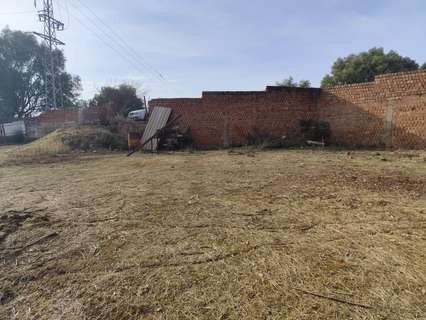 Parcela rústica en venta en Almodóvar del Río