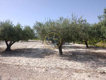Parcela rústica en venta en Ontinyent