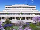 Planta baja en venta en Marbella