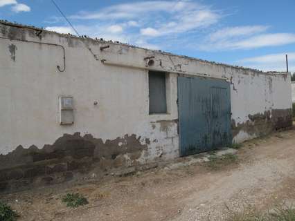 Parcela rústica en venta en Murcia zona Sangonera la Seca