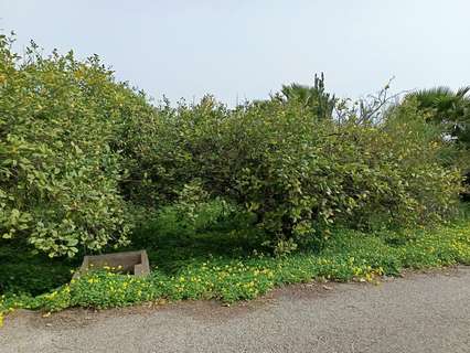 Parcela rústica en venta en Murcia zona El Esparragal