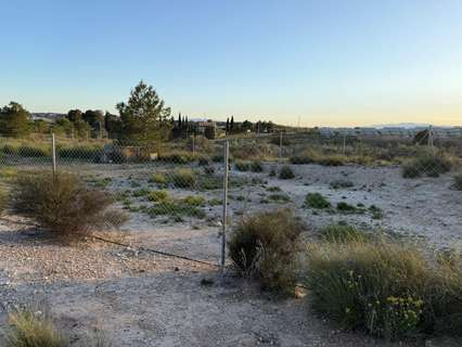 Parcela rústica en venta en Molina de Segura