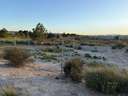 Parcela rústica en venta en Molina de Segura