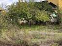 Parcela urbana en venta en Cubillos del Sil rebajada