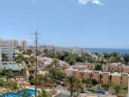 Estudio en venta en Adeje zona Costa Adeje