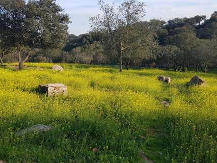 Parcela rústica en venta en Badajoz