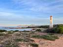 Parcela rústica en venta en Santa Margalida