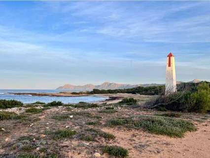 Parcela rústica en venta en Santa Margalida