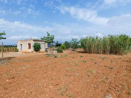 Parcela rústica en venta en Santa Eugènia