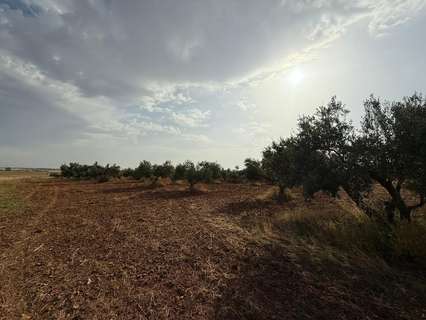 Parcela rústica en venta en Carmona
