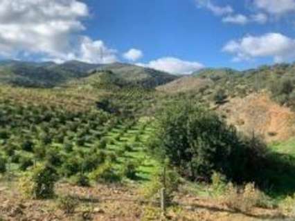 Parcela rústica en venta en Álora