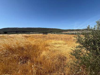 Parcela rústica en venta en Humilladero