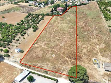 Parcela rústica en venta en Olivares rebajada