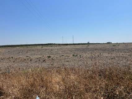 Parcela urbana en venta en Utrera rebajada