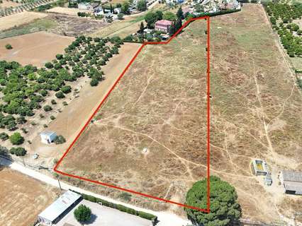 Parcela rústica en venta en Olivares