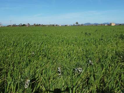 Parcela rústica en venta en Campos
