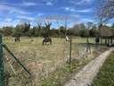 Parcela en venta en Llanes Naves