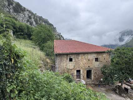 Villa en venta en Peñamellera Alta zona ORIENTE DE ASTURIAS