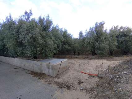 Parcela rústica en venta en Calasparra