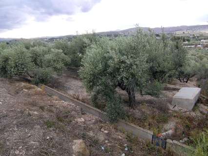 Parcela rústica en venta en Calasparra