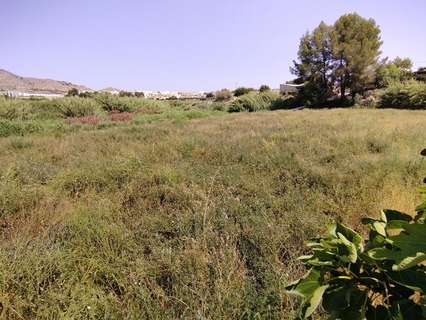 Parcela rústica en venta en Calasparra