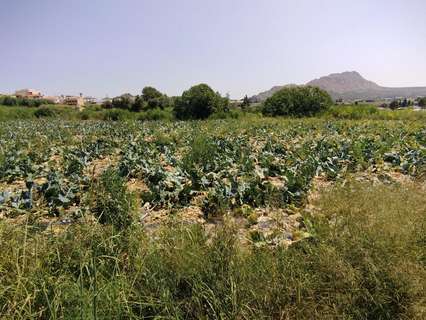 Parcela rústica en venta en Calasparra
