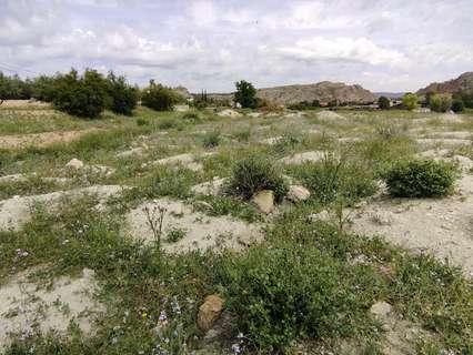 Parcela rústica en venta en Calasparra