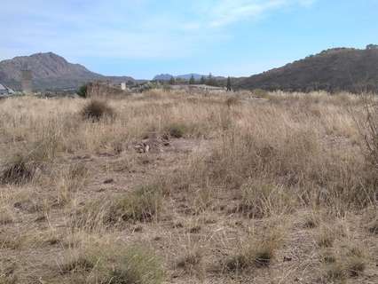 Parcela rústica en venta en Calasparra