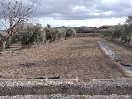 Parcela rústica en venta en Calasparra
