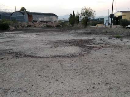 Parcela rústica en venta en Calasparra