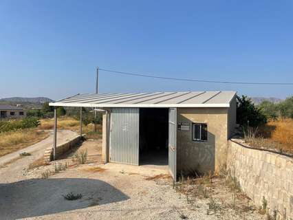 Parcela rústica en venta en Calasparra