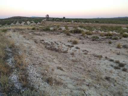 Parcela rústica en venta en Calasparra