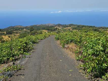 Parcela rústica en venta en Puntagorda
