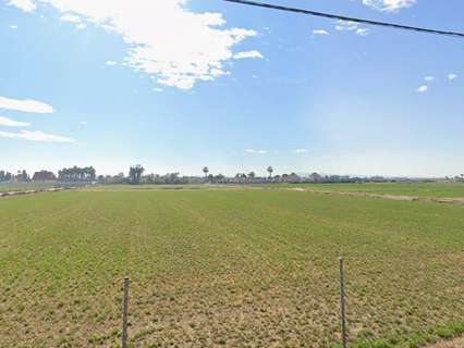 Parcela rústica en venta en Catral